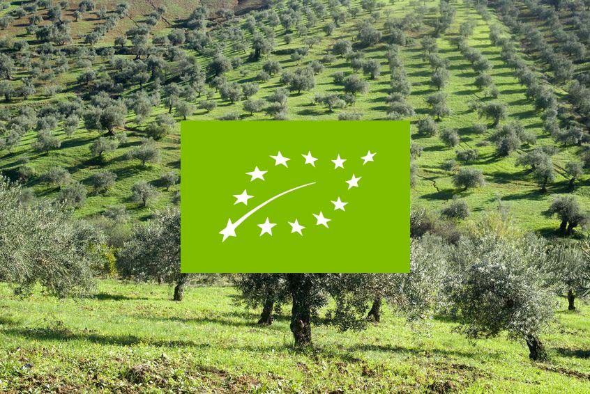 Olivar ecológico y logo UE