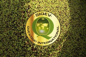Todo sobre la asociación QvExtra! y su sello de calidad SIQEV