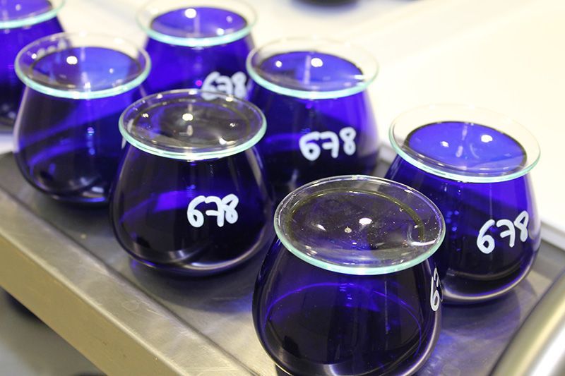 Vasos para cata de vidrio azul