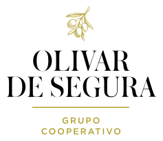 Diseño de botella para AOVE Ecológico ‘Verde Segura’