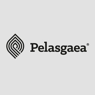 logotipo de aceite de oliva
