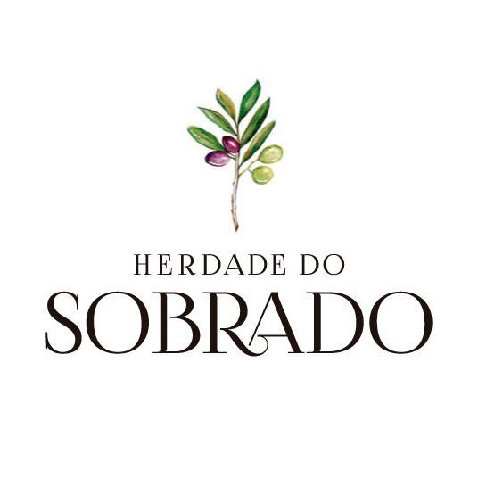 logotipo de aceite de oliva