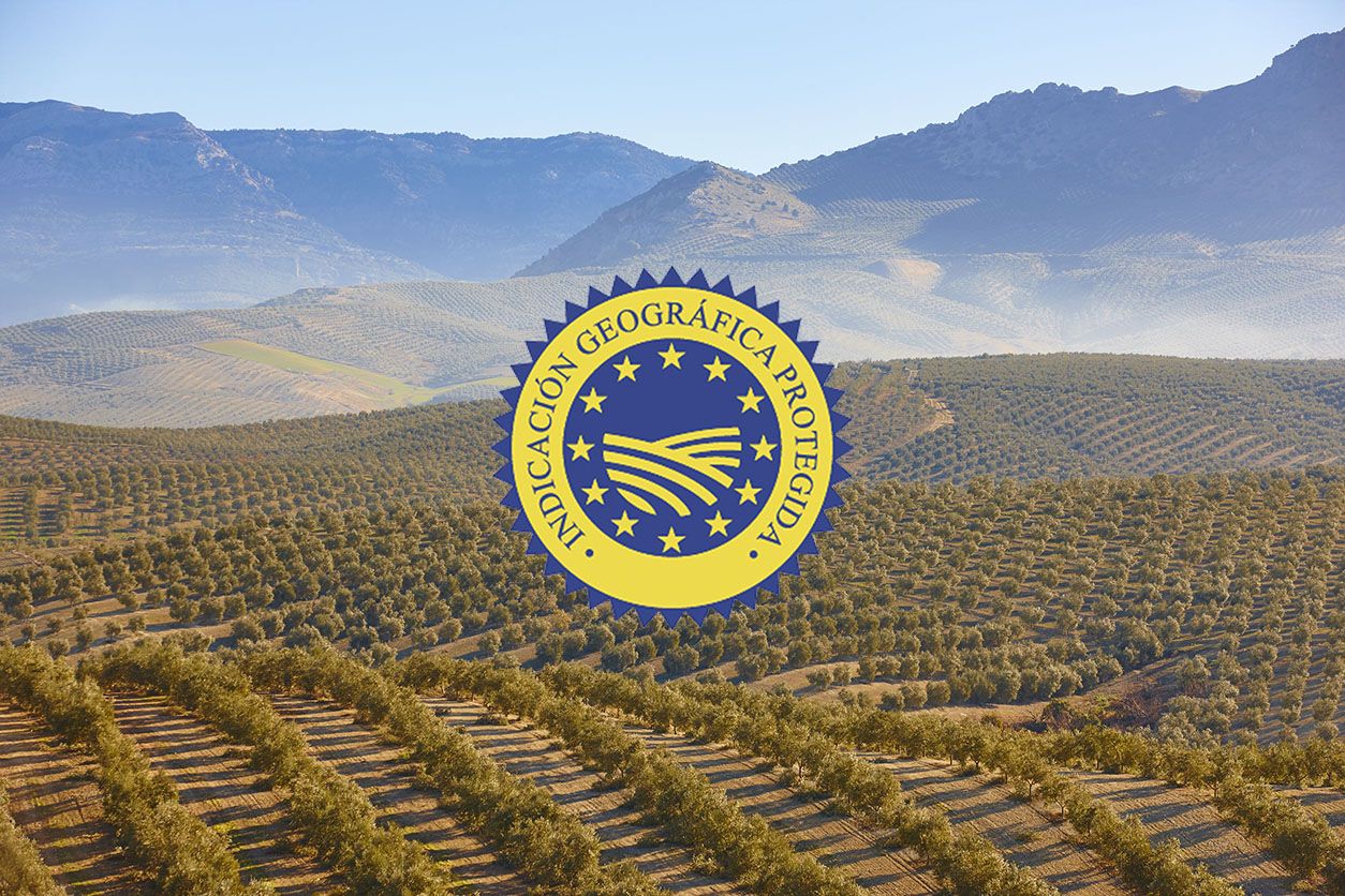 Aceite de oliva certificado IGP Aceite de Jaén